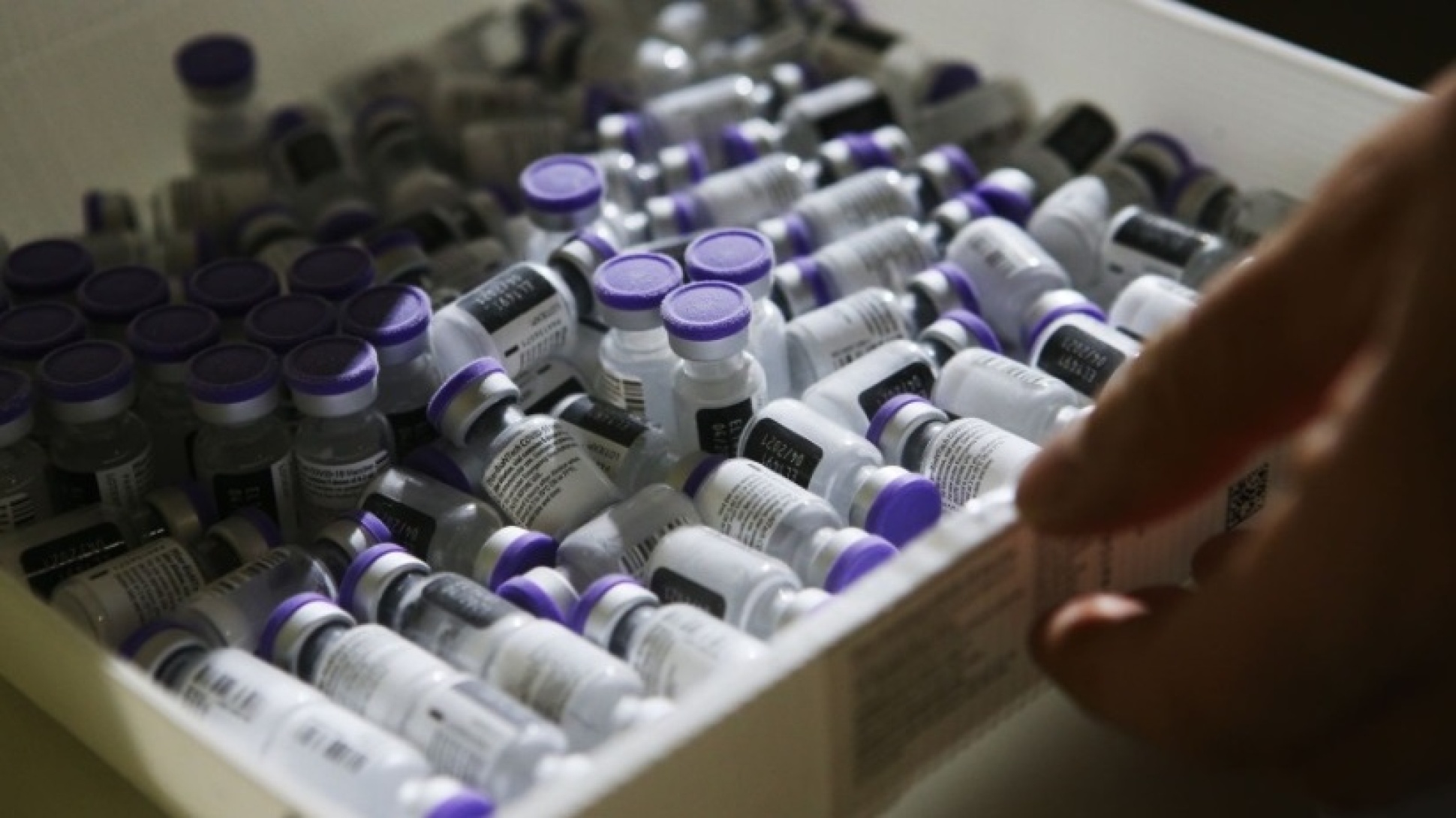 Zvýšit proočkovanost? Česká studie v Nature má řešení