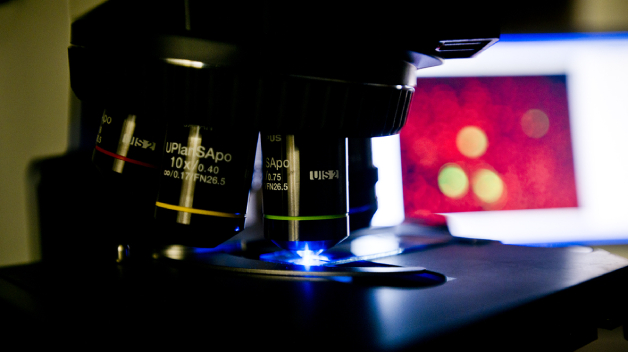 Projects supported by CU mini-grants are ready to kick off