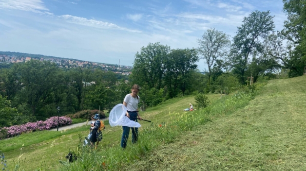 Na katedře zoologie se školí budoucí experti na monitoring opylovačů