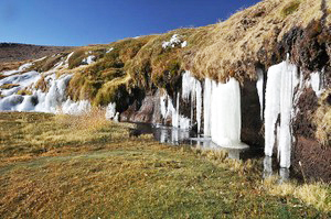Frost and deficiency of water – limiting factors for peat bog formation in the Andes. Photo by Engel.
